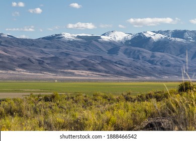 green grasslands growing in an ancient dried lake bed in Northern Nevada after heavy rainfall in the fall with a bit of snow in the mountains