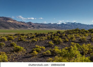 Green Grasslands Growing In An Ancient Dried Lake Bed In Northern Nevada After Heavy Rainfall In The Fall With A Bit Of Snow In The Mountains