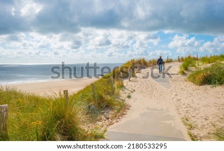 Green grassy dunes along a sand beach and a sea under a blue sky in  bright sunlight in summer, Walcheren, Zeeland, the Netherlands, July, 2022