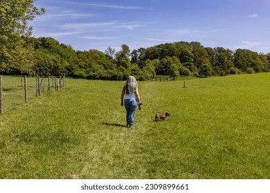 Green grassy dutch plain, mature woman walking with her brown dachshund on hiking trail, green leafy trees in background against blue sky, sunny day in Bemelerberg, South Limburg, Netherlands - Powered by Shutterstock