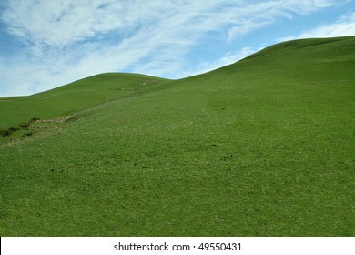 Green Grassy Hill