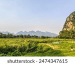 a green grassy hill gently sloping down to the fields, the landscape of the midland region of Northern Vietnam