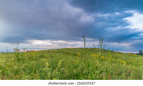 Green Grassy Hill At Sunset. Dramatic Sky After Rain