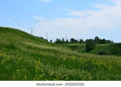 a green grassy hill of wildflowers and a power line in the distance - Powered by Shutterstock