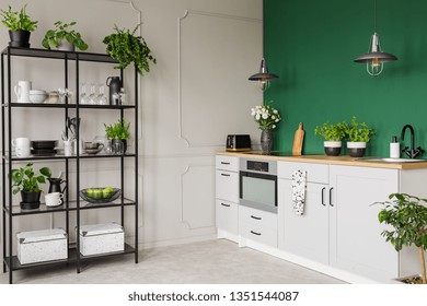 Green and grey kitchen interior with plants and herbs, real photo with copy space - Powered by Shutterstock