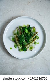 Green Grilled Vegetables On A White Plate.
Brocolli, Onion, Beans And Squash With Green Souse 
View From Above