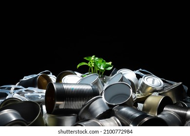 Green growing plant in soil full of tin aluminum dirt trash. Agriculture and gardening or ecology disaster. Concept of environmental catastrophic apocalypse due metal aluminum tin garbage pollution.  - Shutterstock ID 2100772984