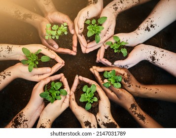 Green And Growing. Shot Of A Group Of People Each Holding A Plant Growing In Soil.