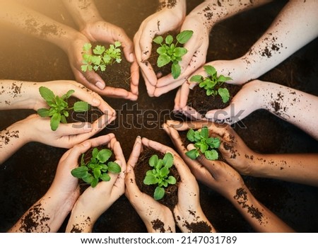 Green and growing. Shot of a group of people each holding a plant growing in soil.