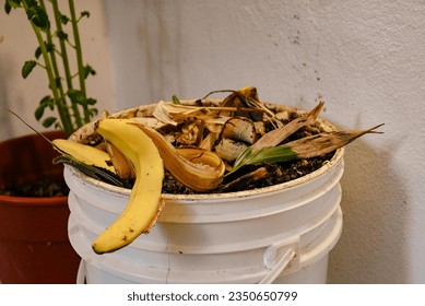Green habits: compost is life and can reduce 50% of your waste