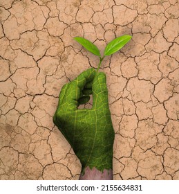 Green hand with the texture of a leaf holds a sprout. Background with arid and dry soil. Greenwashing and climate change - Shutterstock ID 2155634831