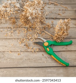 Green handled pruning shears lie on a rustic wooden surface among dry hydrangea branches. Scattered petals and seeds create a natural garden scene symbolizing seasonal pruning.
