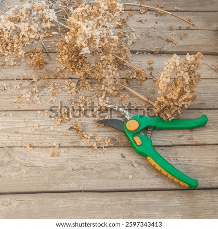 Green handled pruning shears lie on a rustic wooden surface among dry hydrangea branches. Scattered petals and seeds create a natural garden scene symbolizing seasonal pruning.