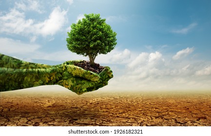 Green hands holding tree growing on cracked earth. Saving environment and natural conservation concept.