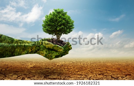 Green hands holding tree growing on cracked earth. Saving environment and natural conservation concept.
