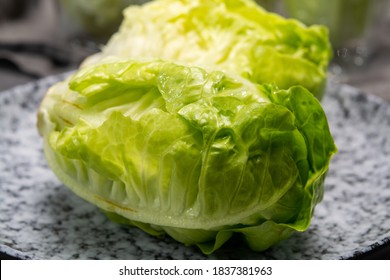 Green Heads Of Fresh Italian Baby Cos Romaine Lettuce Close Up