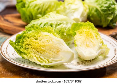 Green Heads Of Fresh Italian Baby Cos Romaine Lettuce Close Up