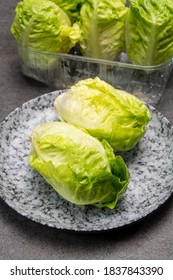 Green Heads Of Fresh Italian Baby Cos Romaine Lettuce Close Up