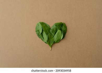 Green heart on a kraft paper background. Heart shape in fresh green spinach leaves. Valentine in eco-friendly vegan style. Valentine's Day concept, copy space. I love green vegetables, salad, spinach