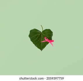 Green Heart Shaped Leaf And Hot Pink Ribbon Tied In Bow Against Pastel Green Background. Valentine Day Gift For Girl,  Minimal Creative Concept.