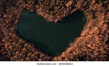 green heart-shaped lake in the forest