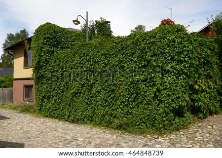 Similar – heavily overgrown building, of which only the roof is still visible