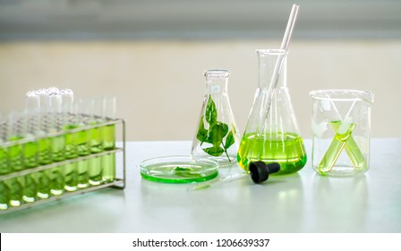 Green Herbal Medicine Research Discovery Vaccine At Science Lab