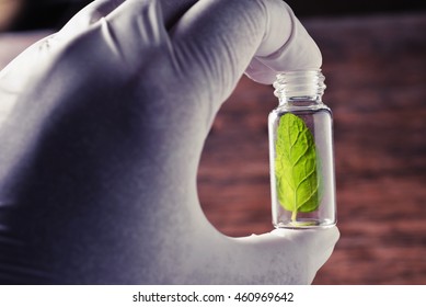 Green Herbal Medicine Research Discovery Vaccine At Science Lab 