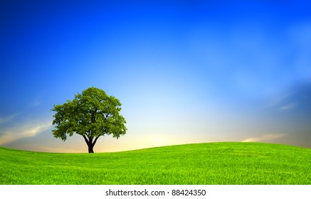 Green Hill Stock Photo 88424350 | Shutterstock