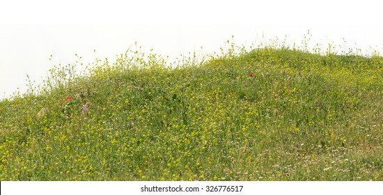 Green Hill Grass Isolated