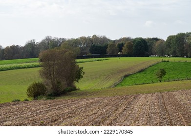 Green hills and meadows at the Flemish countryside in autumn - Shutterstock ID 2229170345