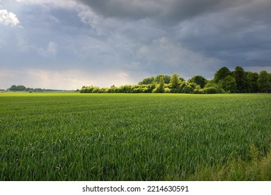 Green Hills Of A Plowed Agricultural Field And Forest. Idyllic Summer Rural Scene. Dramatic Sky, Rain, Thunderstorm. Pure Nature, Environnement, Farm, Countryside Living, Ecotourism. Panoramic View