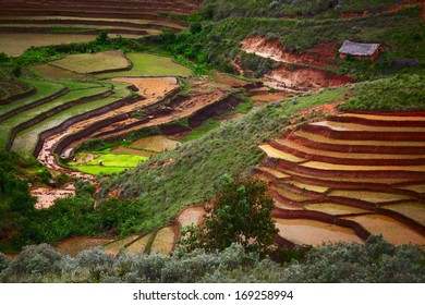 Green Hills With Red Soil, Green Rice And Traditional African House. Madagascar