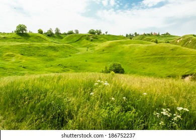 Green hills and wild flowers in the beginning of summer