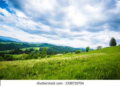 Green hillside in the village - Shutterstock ID 1338720704