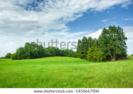 Green hilly meadow and trees, white clouds and blue sky. Staszyce, Poland