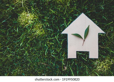 green home and eco-friendly construction conceptual image, house icon on green grass lawn under the sun with two leaves on top