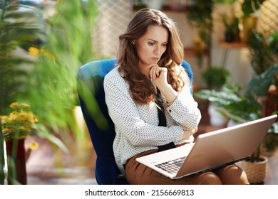 Green Home. Pensive Elegant 40 Years Old Woman With Long Wavy Hair In The Modern Living Room In Sunny Day Using Laptop While Sitting In A Blue Armchair.