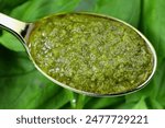 Green homemade pesto sauce in a spoon with basil leaves background close up