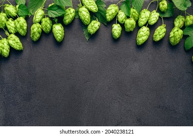 Green hop cones, ingredient for authentic brewery, on black textured table surface. Oktoberfest beer festival concept background with copy space.