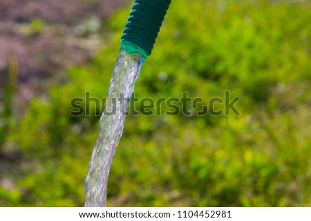Similar – Image, Stock Photo Hose in water Branch Tree