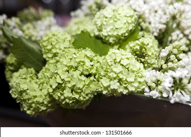 Green Hydrangea In Vase