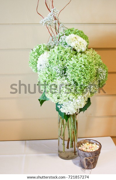 Green Hydrangeas Tall Glass Vase On Stock Photo Edit Now 721857274