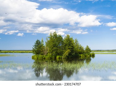 Green Island Forest Around 