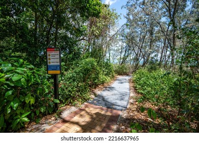 Green Island, Queensland, Australia - Walking Path Through The Rainforest And Warning Sign On Green Island, A Tiny Coral Cay And One Of The Most Popular Marine Day Trips From Cairns.