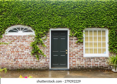 Green Ivy Covers Historic Brick Home In Charleston, South Carolina