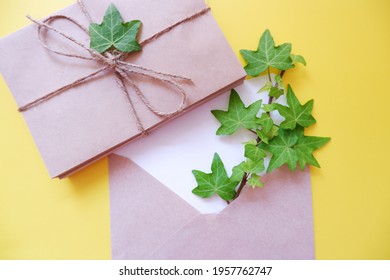 Green ivy leaves with blank greeting card on white yellow background. Botanical concept background. Summer greeting. アイビーの葉と手紙セット、初夏の贈り物、夏のメッセージ背景、夏のガーデニング