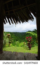 Green Jungle From Summer House, Upolu, Samoa