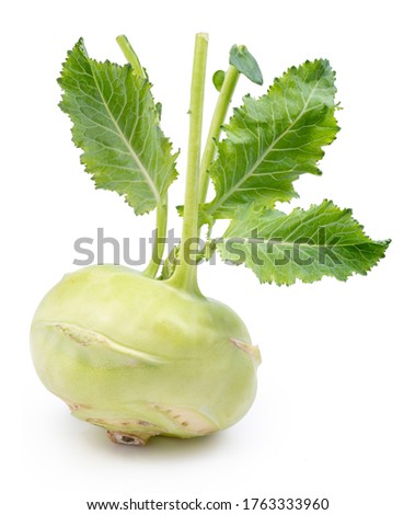 Green kohlrabi with green leaves on isolated white background.