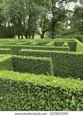 Green labyrinth in the beautiful park 